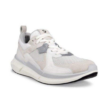 ECCO BIOM 2.2