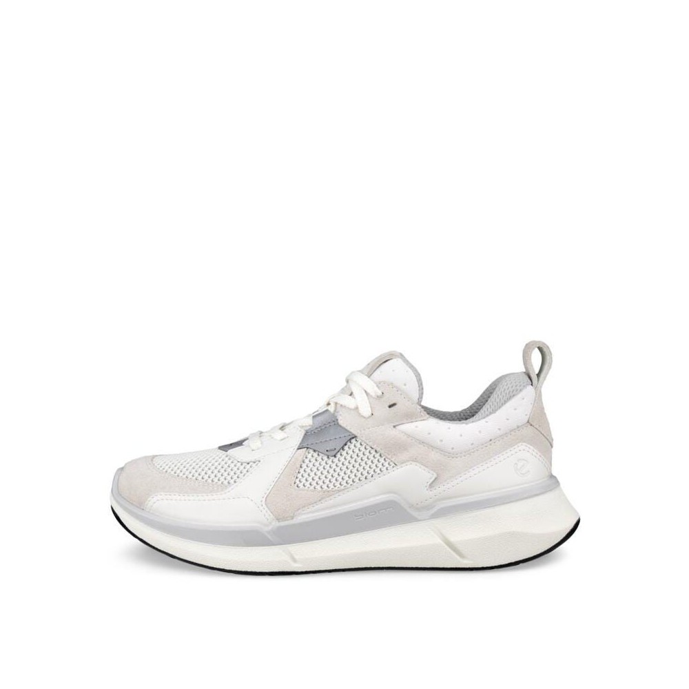ECCO BIOM 2.2