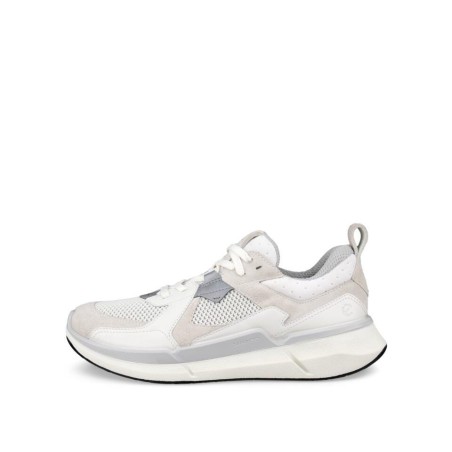 ECCO BIOM 2.2